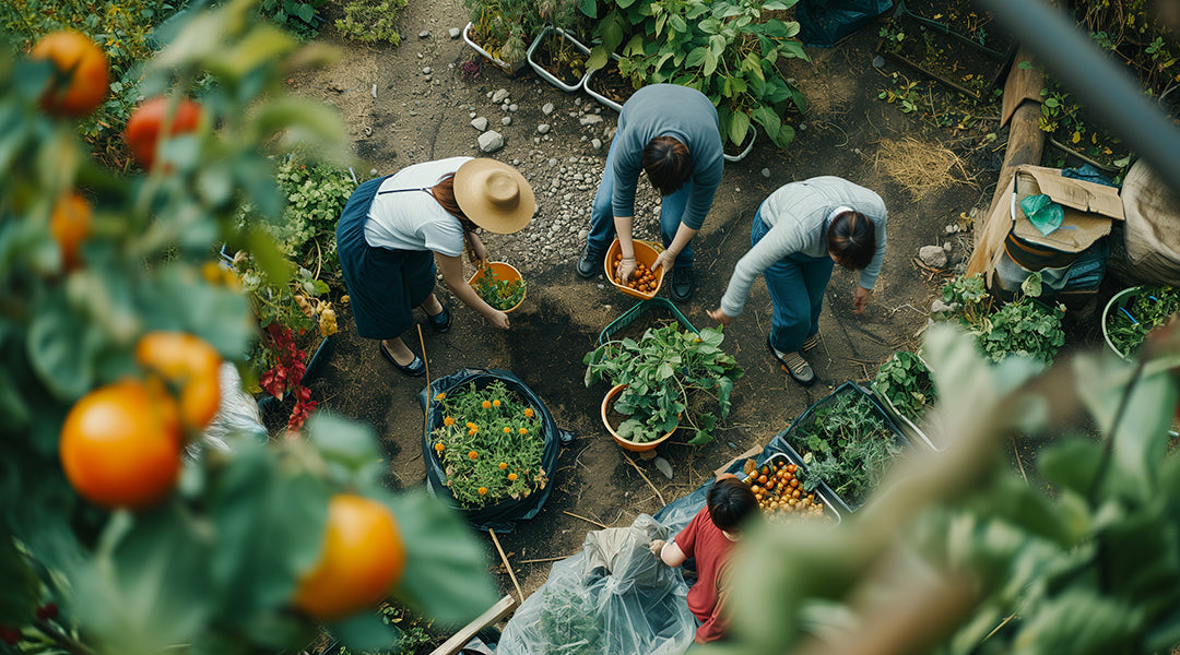 Organic Farming Practices - What Are They, Why Are They Important, And How Can You Support Them