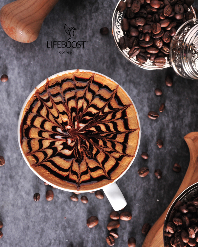 Double Dark Mocha - Lifeboost Coffee