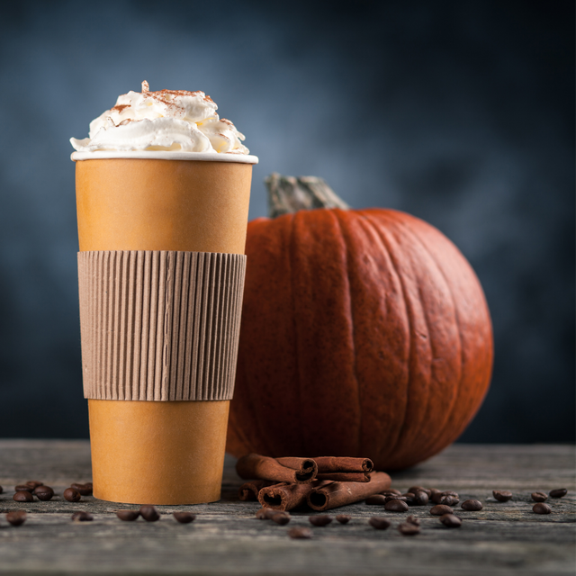 Pumpkin Spice Decaf - Lifeboost Coffee